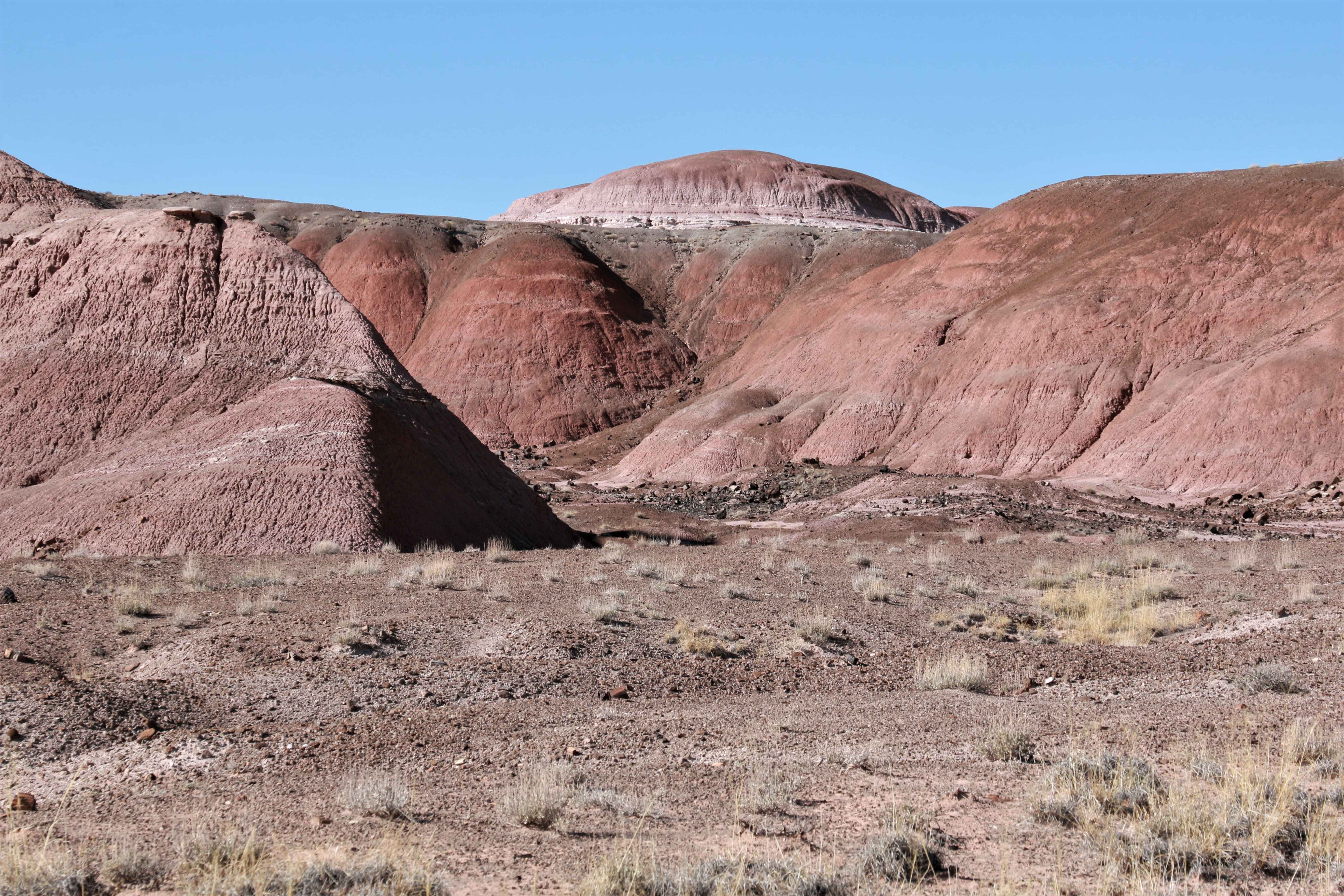 Petrified Forest NP